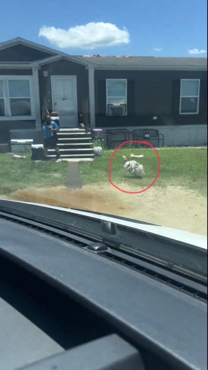 esils10's tweet photo. @catherine_6907 “Bih, get back on dat porch” energy 😭 https://t.co/OgTNPAMtaQ