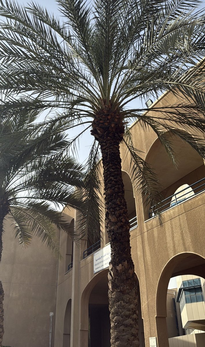 cherryfdweyu's tweet photo. Day 1 of summer semester - البنت مالها الا بيت زوجها https://t.co/B4eVCZhEPB