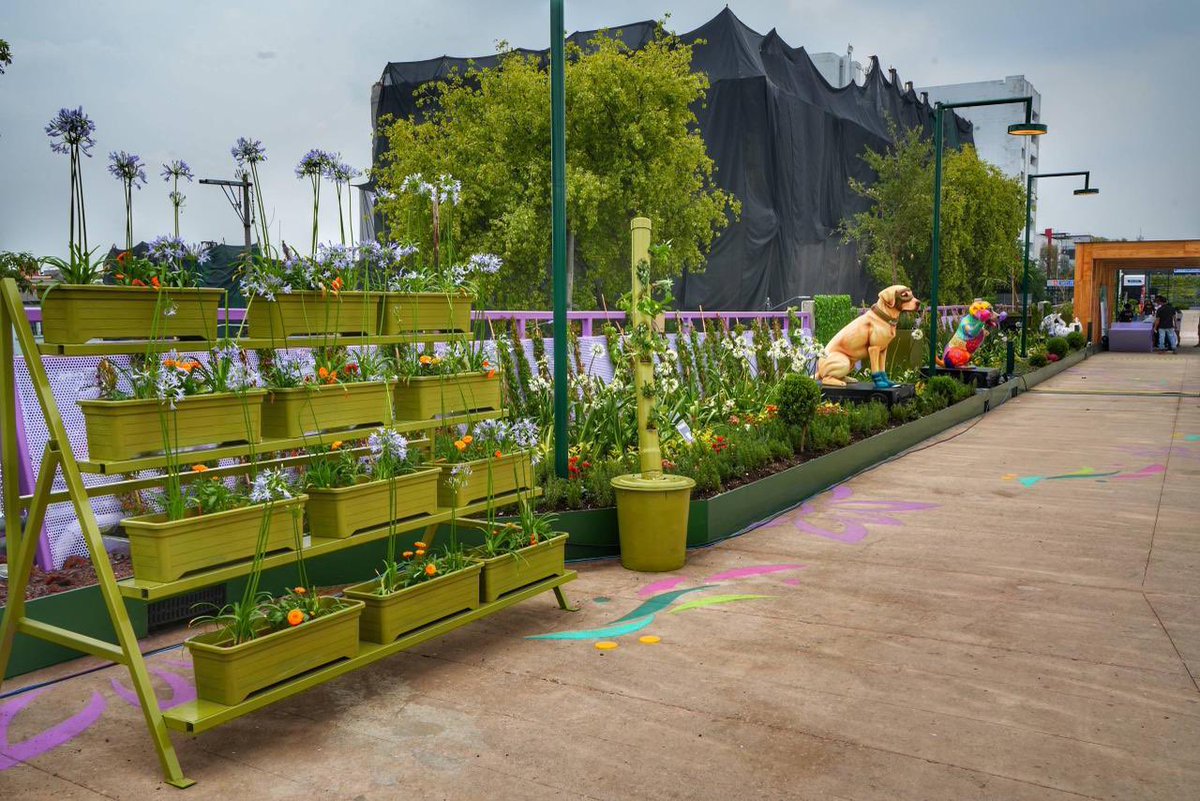 MetropolisCDMX's tweet photo. Inauguración del Jardín Flotante Tlallipan🌻
Una obra que mejora la movilidad peatonal, brinda mayor seguridad en los recorridos y recupera espacios para que las personas puedan transitar con mayor confianza y comodidad
👉🏼Metrópolis estuvo presente junto al secretario @EipCDMX https://t.co/6M6iun6p3h