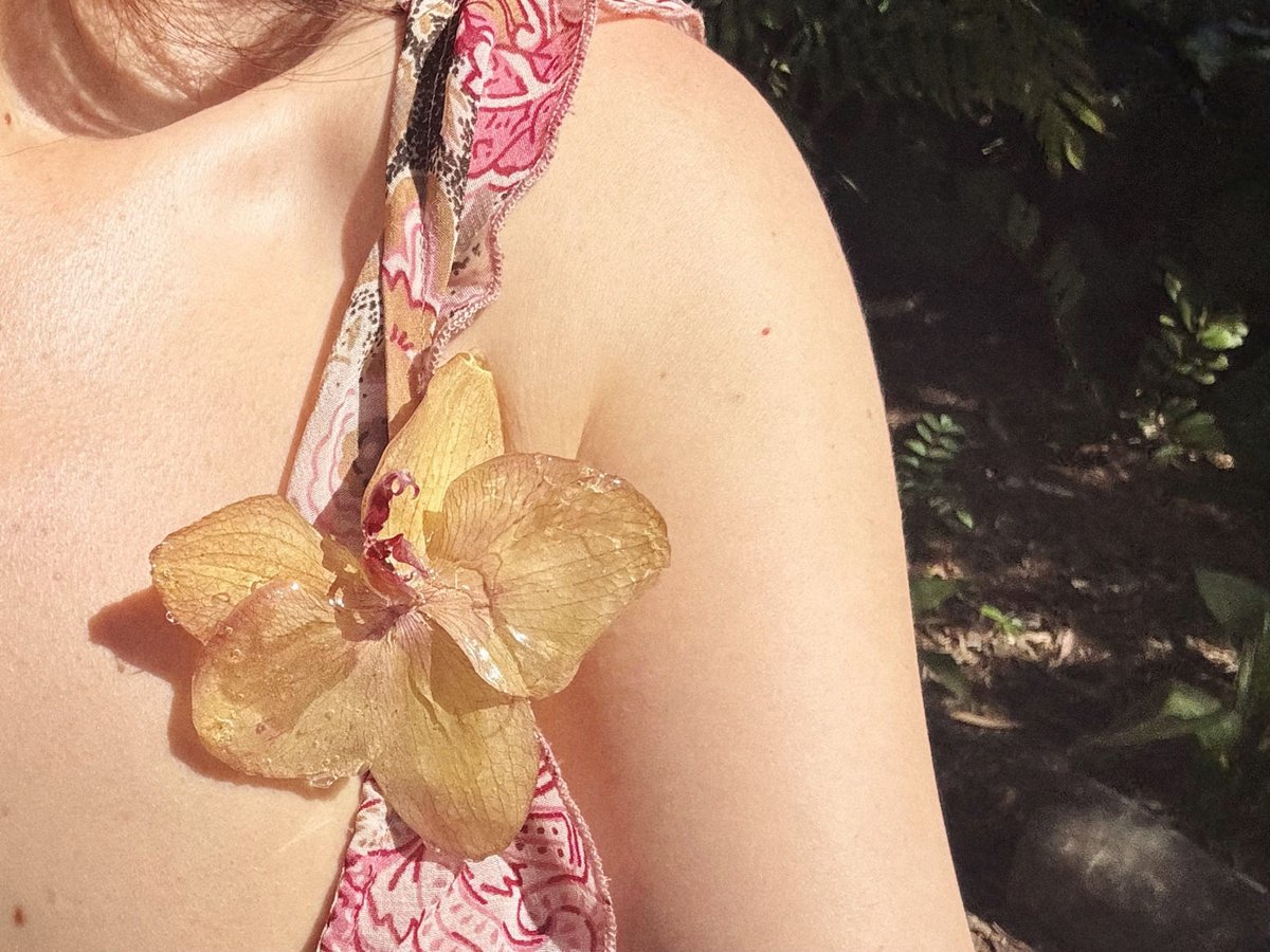 8liaarchive's tweet photo. volaban de flor a flor https://t.co/PEAvEgVOYp