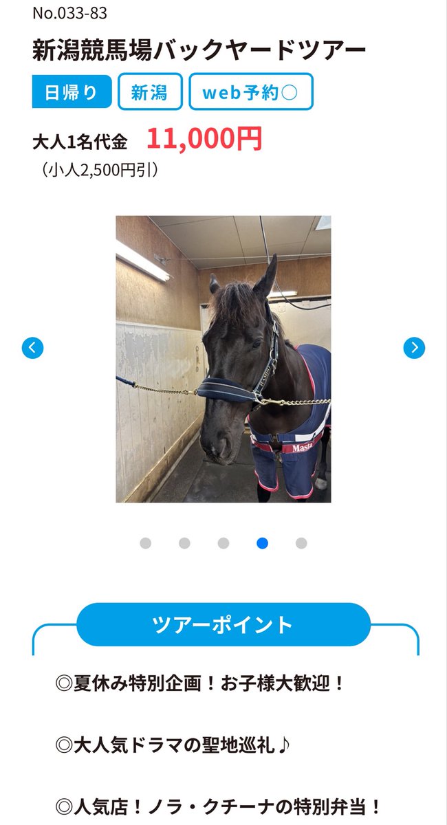 don_pakacho's tweet photo. 新潟競馬場のバックヤードツアー、マイネルファンロンが出てるんだけど…これは会えちゃうってことでOK？

https://t.co/hDKovnULpp https://t.co/W2XFkD1mEx