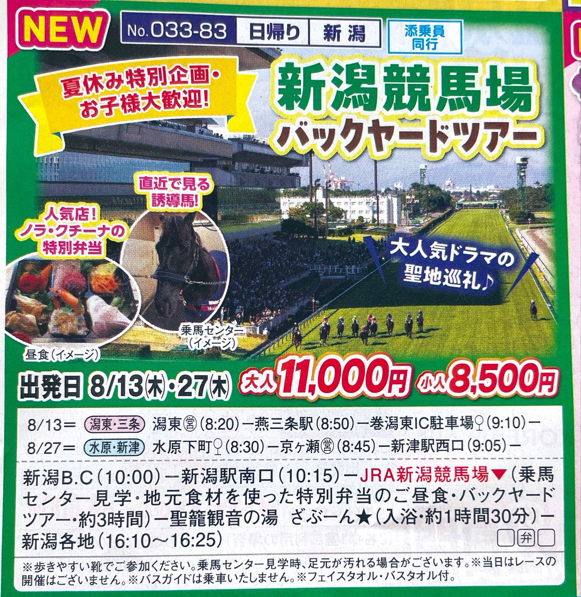 don_pakacho's tweet photo. 新潟競馬場のバックヤードツアー、マイネルファンロンが出てるんだけど…これは会えちゃうってことでOK？

https://t.co/hDKovnULpp https://t.co/W2XFkD1mEx
