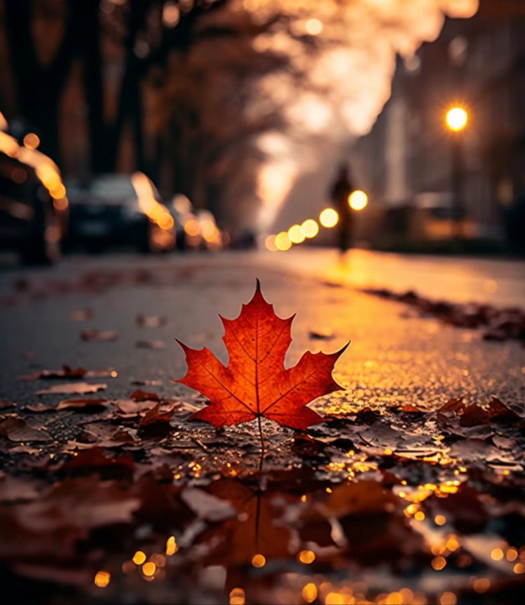 vishnulal7's tweet photo. Perfect autumn morning with crisp air, golden leaves, and a warm latte in hand—can’t ask for more cozy vibes! https://t.co/Cdpv6B1o3J
