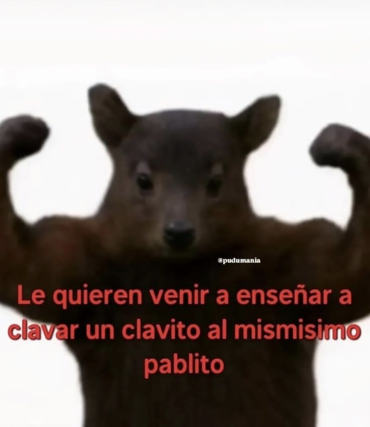 adan0xd's tweet photo. @dibicar @OldestAdm1n El poder de la destrucción se plantea en el mismo momento que aparece bills,y el hecho de poder controlar ese poder se anticipa al momento que aparece toppo chad con su forma hakaishin y que vegeta menciona que no puede usar el ui siendo que elegirá otro camino https://t.co/oi9CIr4vrt