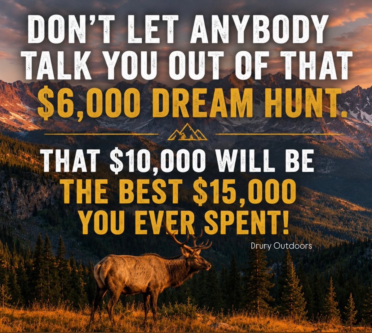 DruryOutdoors's tweet photo. Apparently “investing in my future” means a 401(k)…I thought it meant elk country 🤷🏽🤪 https://t.co/EhMEKFgDdx