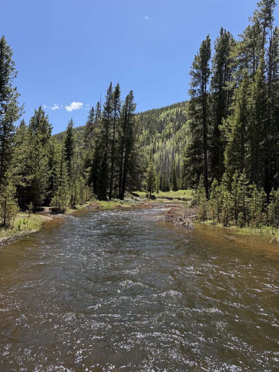 ThisIllDefend13's tweet photo. This valley is where I want to stay forever. https://t.co/XGwLEezPGy