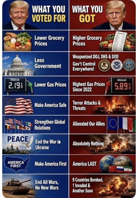 Suzierizzo1's tweet photo. Here’s what you voted for and here’s what you actually got! 👇👇👇 https://t.co/klOFkHg4cm