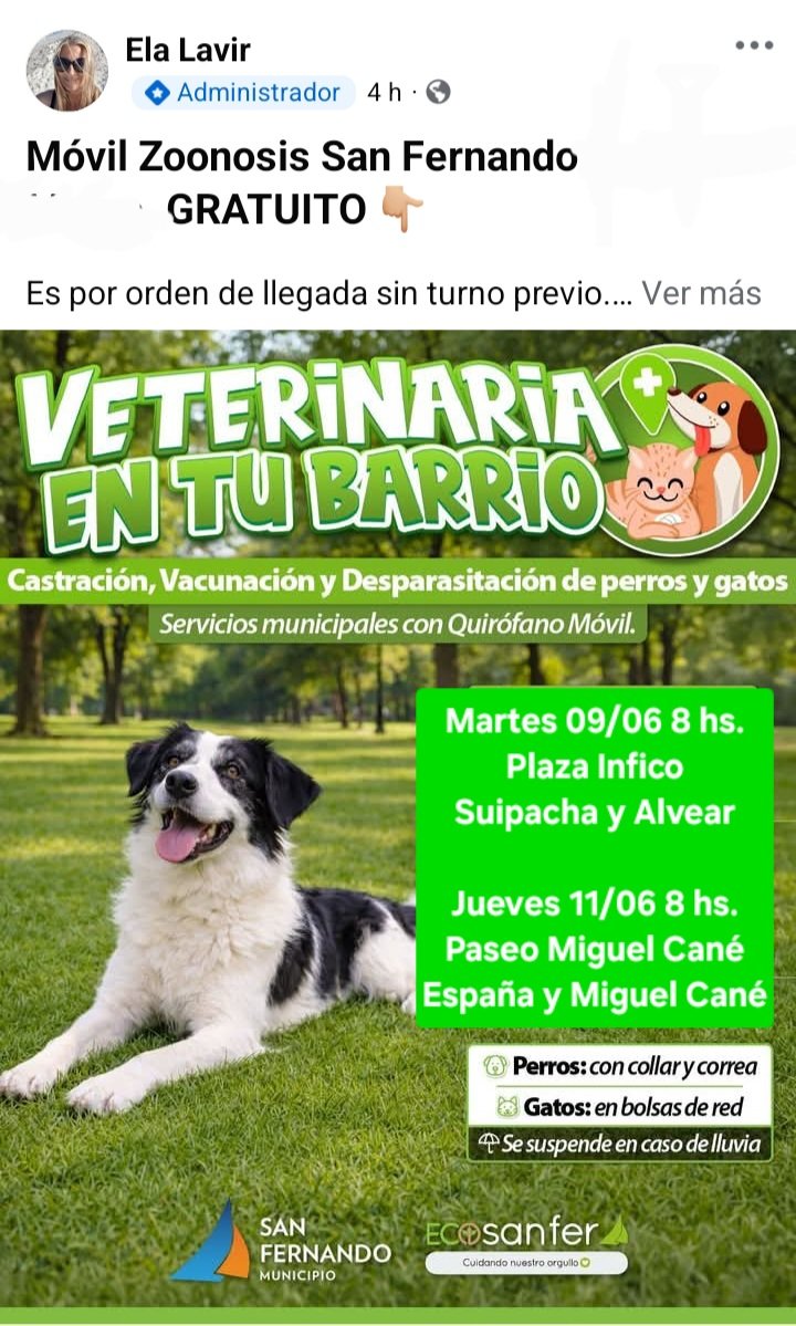 protegealanimal's tweet photo. SAN FERNANDO
Consultas: zoonosis@sanfernando.gov.ar
#SANFERNANDO #BARRIOSANJORGE #BARRIOMILVIVIENDAS #BARRIOFATE #VIRREYES #ISLAS #PRESIDENTEPERÓN #VILLADELCARMEN #BARRIOCARUPÁ #BARRIOALSINA #SANJORGE #PLAZAINFICO #AVIACIÓN #DELTA #SANJOSÉ #VICTORIA #ZONANORTE #BSAS #BUENOSAIRES https://t.co/xa16hQLhY4