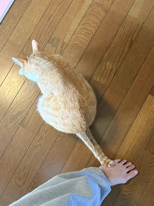 そっと触れてくれてる