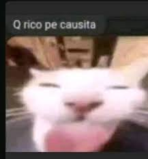 HitoriKiara's tweet photo. Me encantar[ia ver a Arthur Morgan aceitoso https://t.co/wDd9NEu5yj