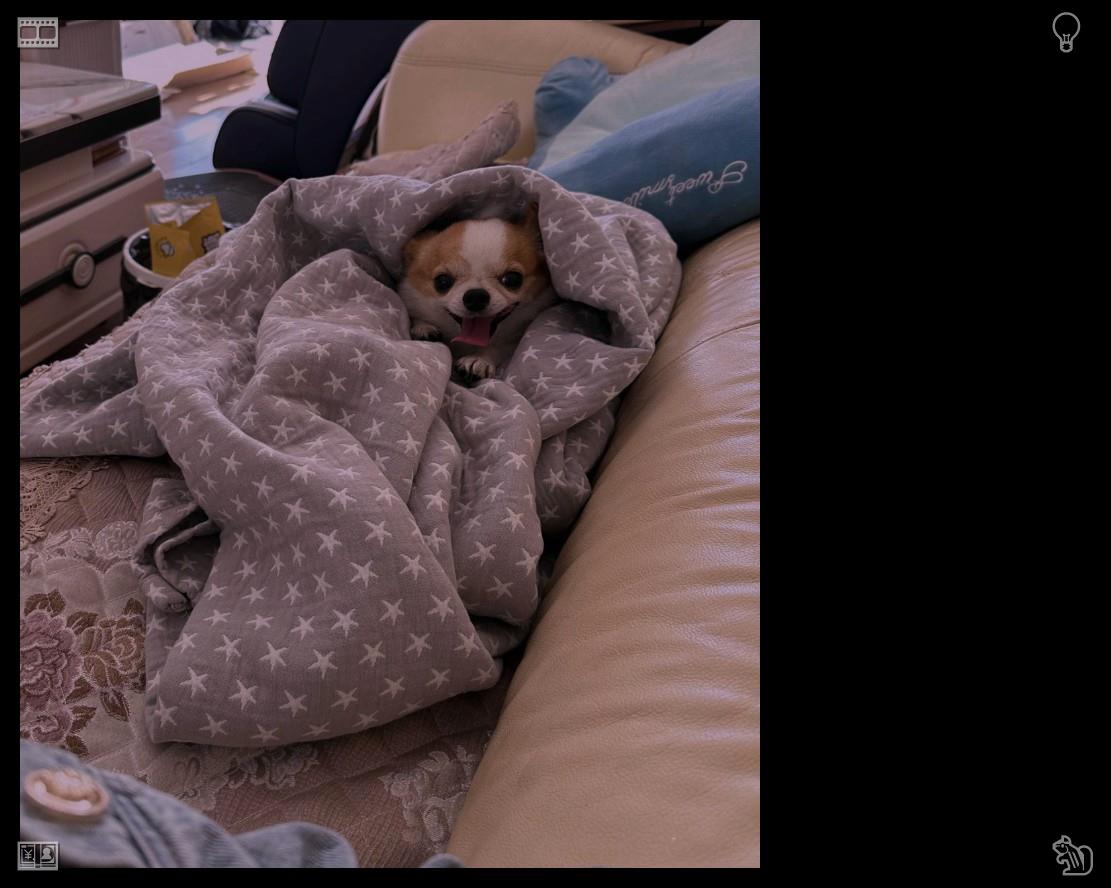 JohnLegault's tweet photo. I've stowed away my cozy wardrobe, squeezed dry⚡I'm thankful for my easygoing way of living that demands little exertion. Having basic necessities shields me from the unending pressure of work and rivalry in everyday existence. https://t.co/agR9koZMBy