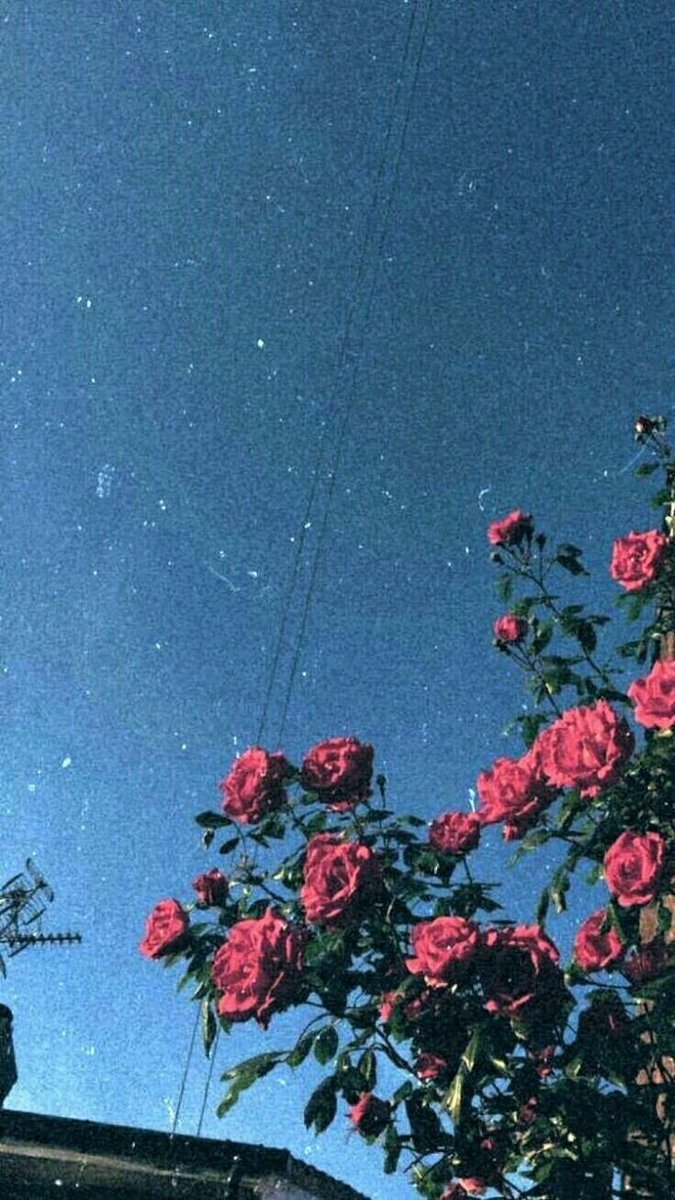 sohilllp's tweet photo. #GM https://t.co/ioQtjfyxJX