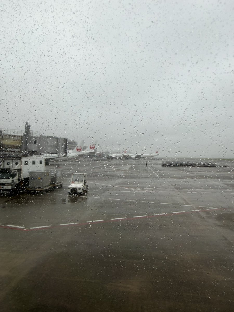 kokusangokin's tweet photo. おはようございます！
雨の朝ですが今日から出張です。
良い出会いに恵まれますように！！
今日も頑張ろう！
#企業公式が朝の挨拶を言い合う #ものづくり #超硬合金 #傾斜超硬 #超硬溶射 #ノズル #超硬チップ #金型メンテ https://t.co/6Q23yKEBxq