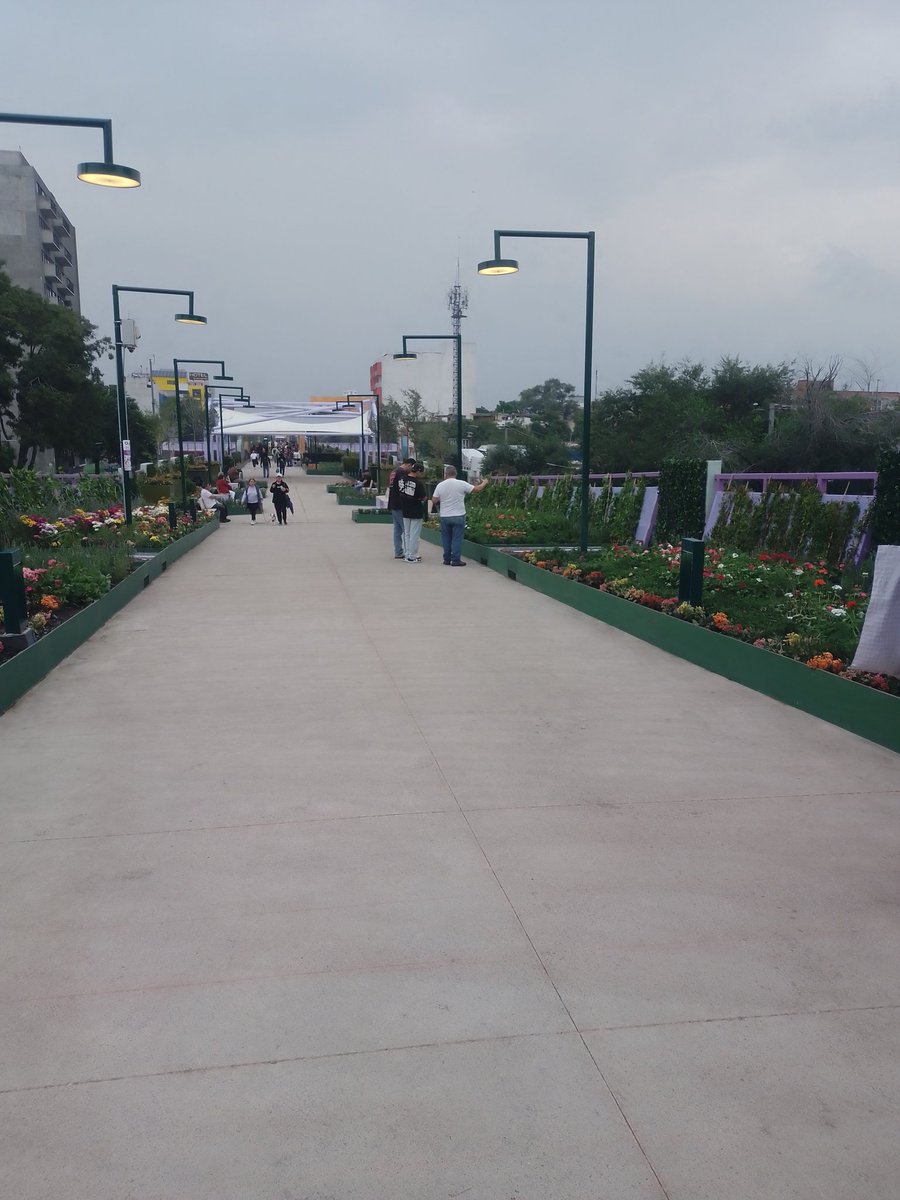MagicianMurdock's tweet photo. Me entrevistaron con mi bici en el nuevo #ParqueElevado (iba abajo de la bici, caminando) Si me ven me lo mandan. Vivan los espacios peatonales, bike &amp; pet friendly 

De igual manera si hubieran hecho el parque a pie de calle quitando espacio a los autos se hubieran encabronado. https://t.co/sg32vYeGOz