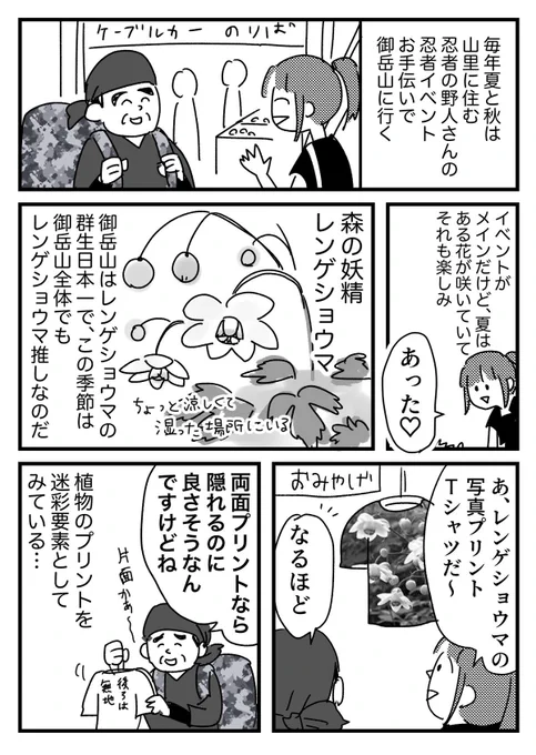 ステルス値を見てる忍者
【再掲】 