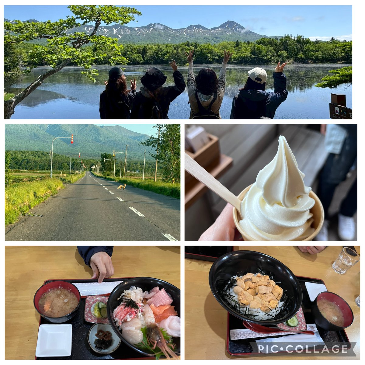 backofmonalisa's tweet photo. 雄大な自然を満喫✨
女子（BBA）旅最高でした
今日からまた仕事がんばらねば🥹

北海道に住み、牧場🐴で働きたいと
思っていた若い頃
またそんな気持ちになりました…🙂 https://t.co/syQE80dDsE
