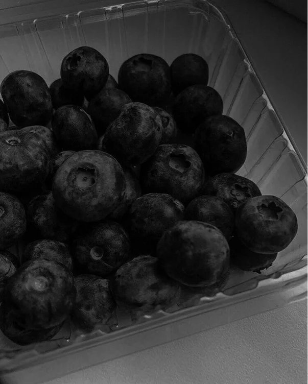 send2patience's tweet photo. I just received lunch ⟡ ݁₊ . from Anonymous via Throne. Thank you! https://t.co/Qm3NkYSApK #Wishlist #Throne https://t.co/EUMrhnHZ3q