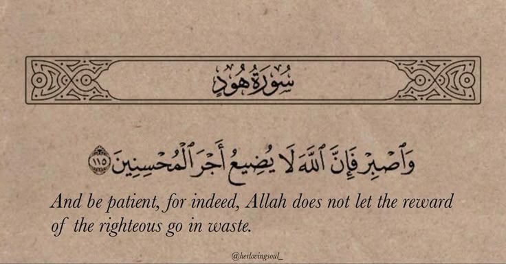 Al__Quraan's tweet photo. And be patient https://t.co/KYlLak8zIO