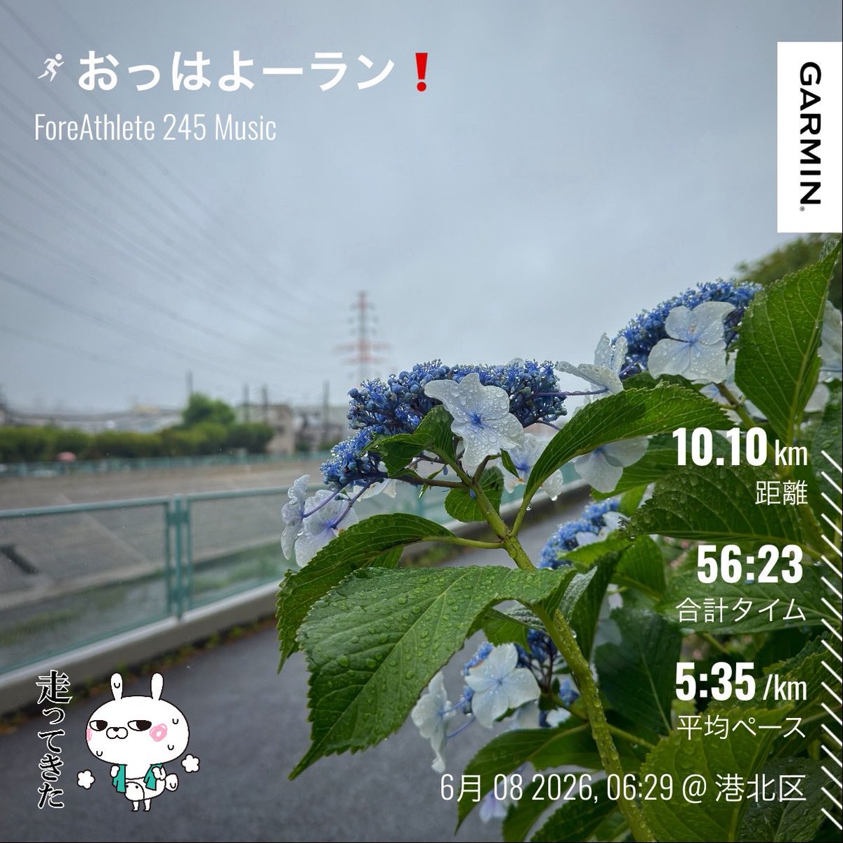 twitoto's tweet photo. おっはよーラン❗️
6/8のあさそら🌧️

ランオフしようかと思ったけど
霧雨な感じだったのでゴー💨
#ライブラン 6:30セッションで
シャワーラン🚿

良き一日を😌

好きを楽しむ
Enjoy what you like💓

#runtrip #サブキャス
#ランニング #台湾サンダル https://t.co/pm1EE5Y9WN