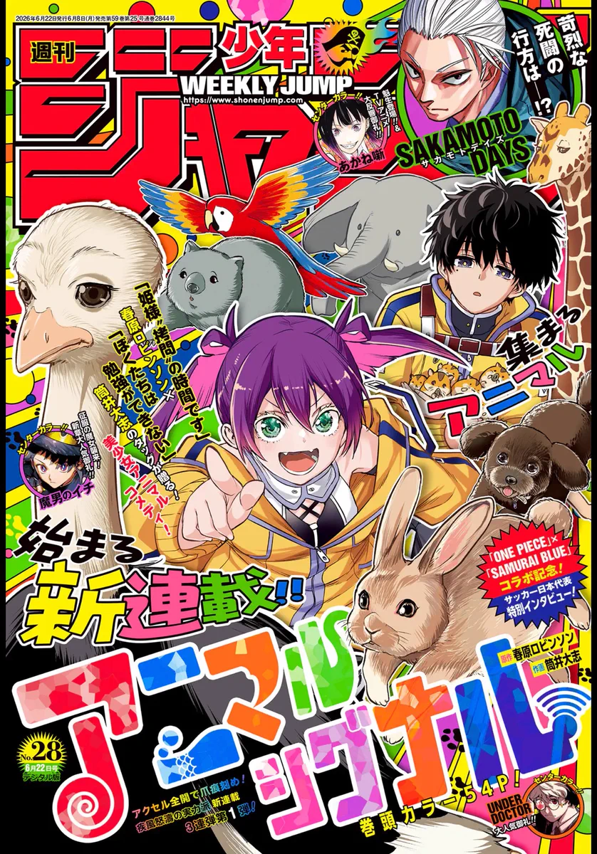 週刊少年ジャンプ　【ぼくたちは勉強ができない】　切り抜き ぼくたちは勉強ができない 週刊少年ジャンプ 切り抜き