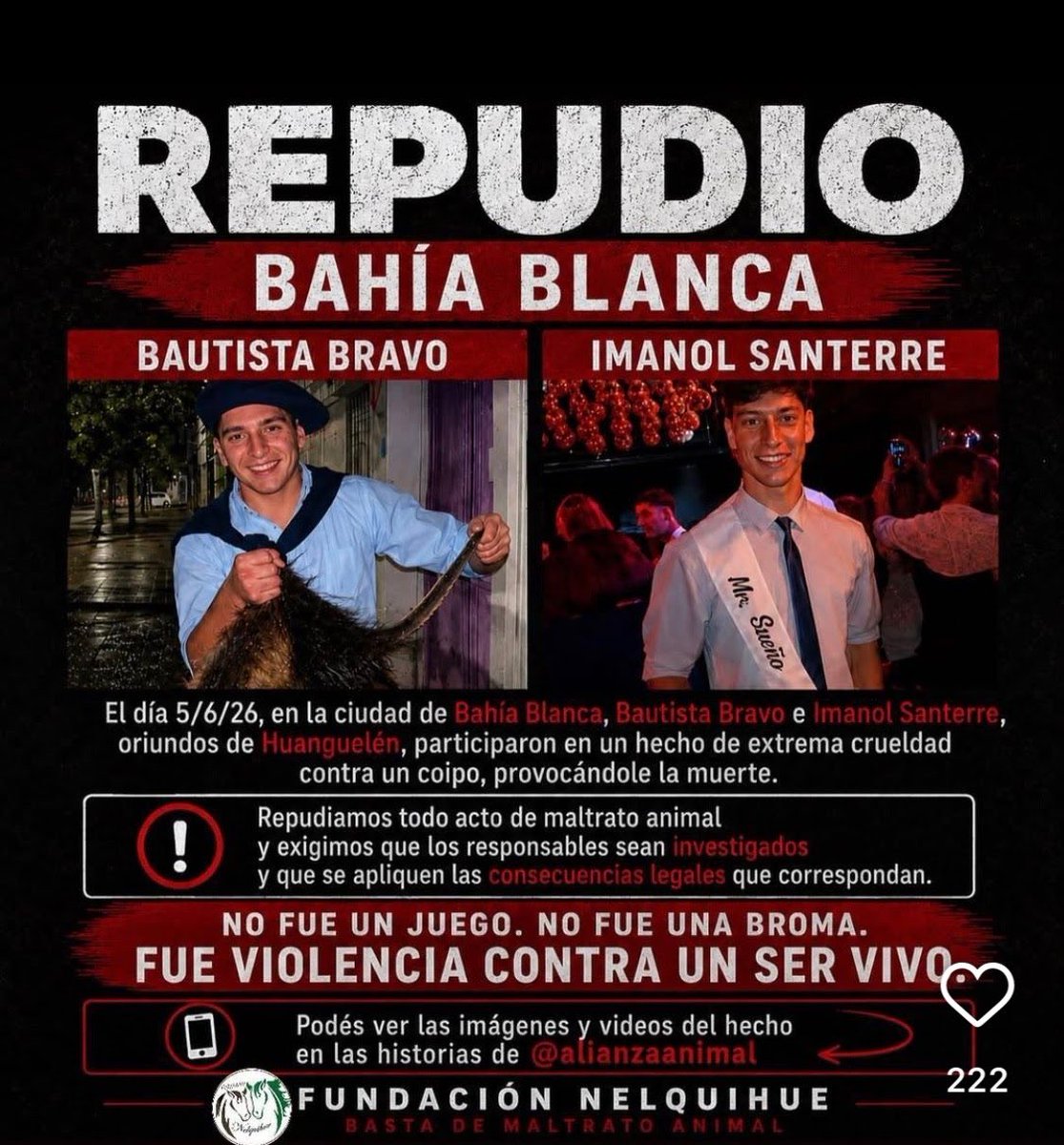 alicefravilli's tweet photo. JUSTICIA!! Hoy es un animal indefenso, mañana una persona indefensa. En muy grave. https://t.co/QFRCCLSHc5