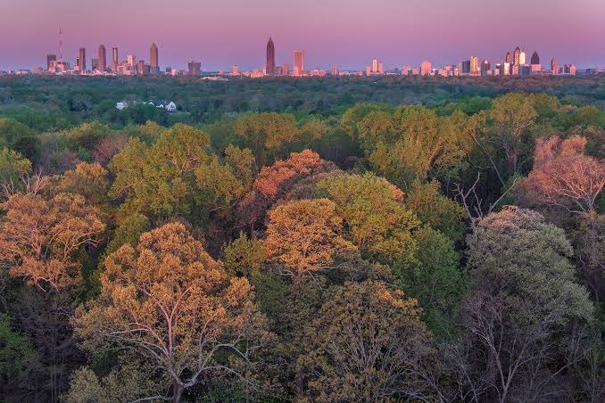 awndrezawndrez's tweet photo. @FreddyLA7 It’s called “the city in the forest” for good reason https://t.co/qCVl72JyeB