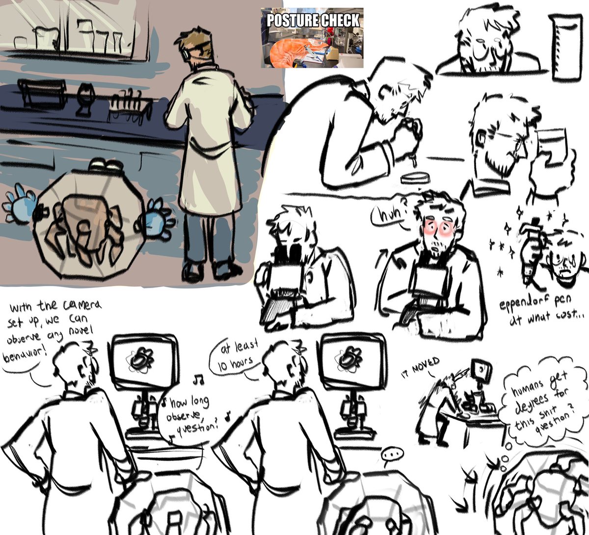 sealbug's tweet photo. lab doodles #projecthailmary #phm https://t.co/f5t1tJgNSk
