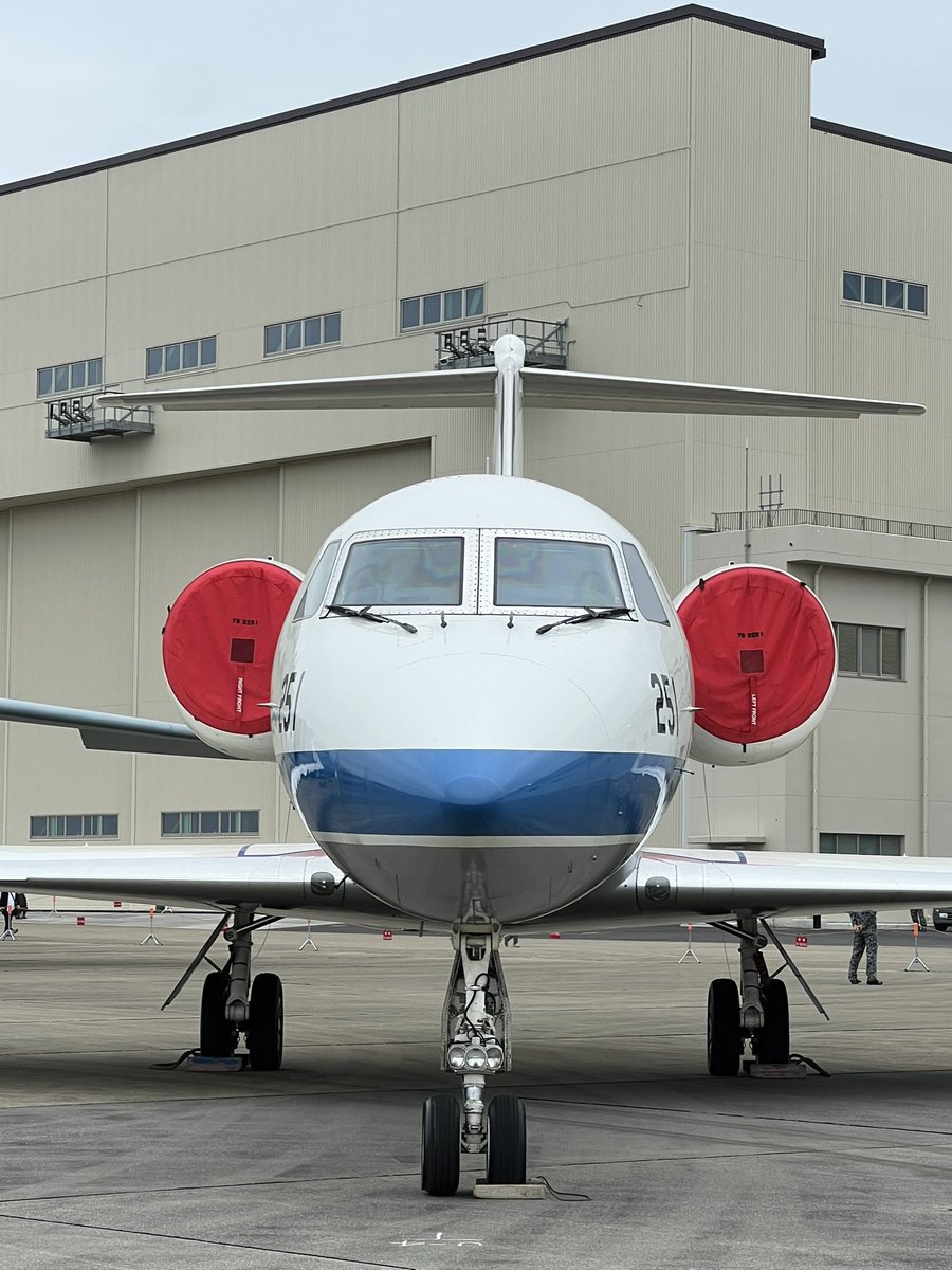 k59304's tweet photo. 正面から見たらかわええコ達😂 https://t.co/38TZC8KzKJ