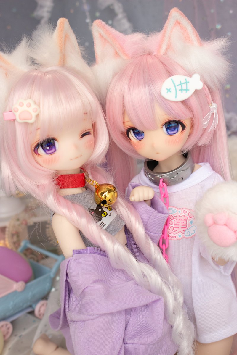 miho34dolls's tweet photo. にゃん😺🫶💕 https://t.co/BBREaMCVPX