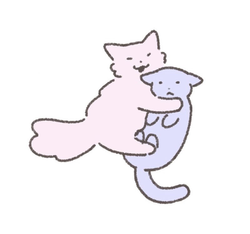 umppacp's tweet photo. 고냐니 엄빠 보고 오늘 하루도 행복해지십셔 https://t.co/8CWN81qKVI