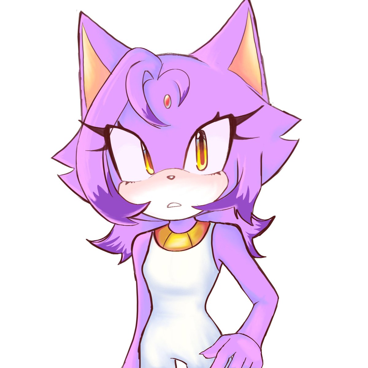 Luu14Us's tweet photo. #blazethecat #fanart #sonicthehedgehog https://t.co/CQClqTOgtj