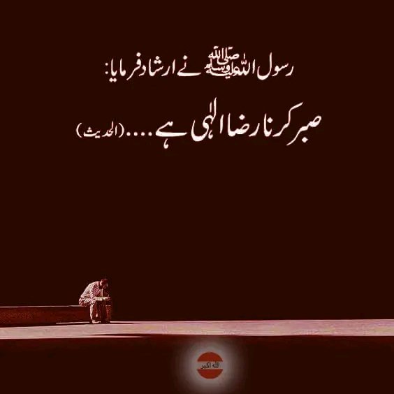 __SZ22's tweet photo. https://t.co/5qywB1EQzN