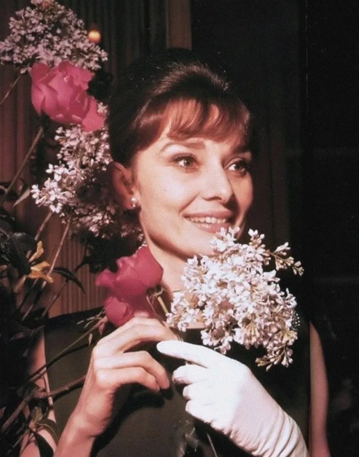 best of audrey hepburn tweet media