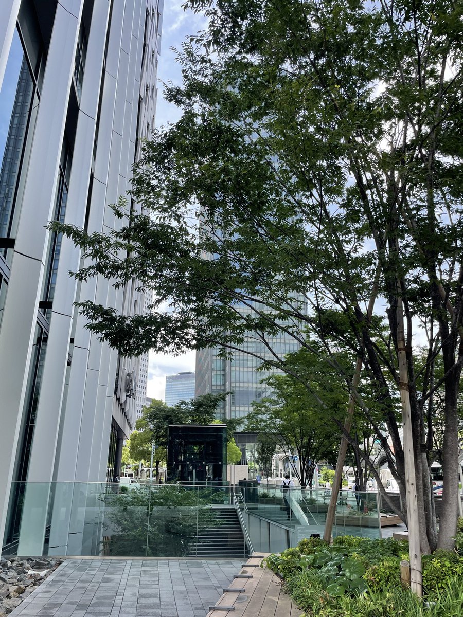 thomath9's tweet photo. 非営利団体で働くことになりました　

構成メンバーは、企業、自治体、経済団体、中央官庁などの出身者
それぞれが全然違うバックボーンを持っているので、話す内容が刺激的で新鮮

様々な想いは傍に押しやって
しばらくここで頑張ってみます

おはようございます
皆さんいい一日を https://t.co/O7jqkYc5FA