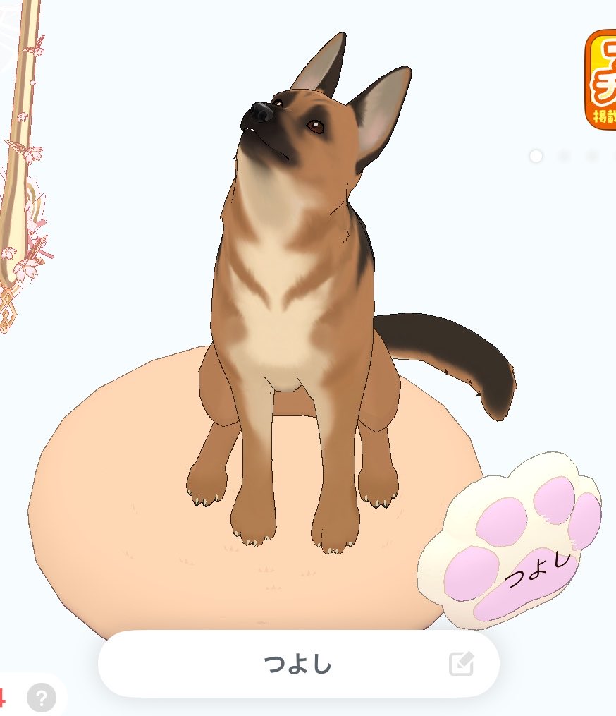ytac2d's tweet photo. ん❓こんにちは❗️🐶 https://t.co/HsNCvdJin5