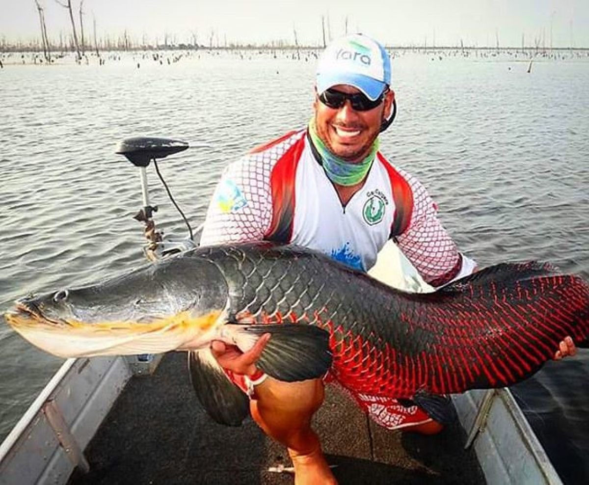 podergoias's tweet photo. Pesca em Goiás: Nova regra amplia lista de peixes liberados para transporte - via @podergoias https://t.co/jtGGyrbygH https://t.co/Tc7gW2MSmk