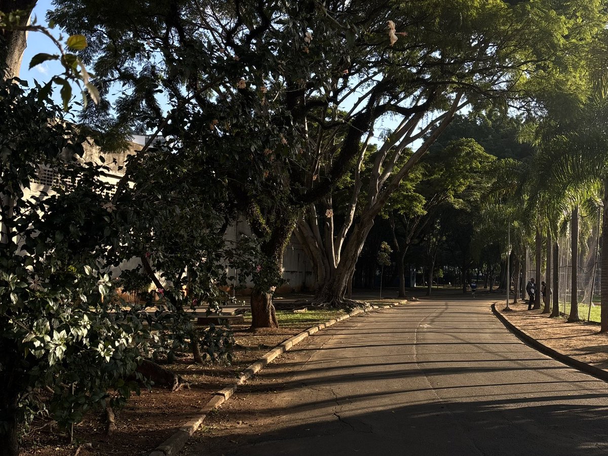 macabeaaaaaa's tweet photo. feriado perfeito 💐 amanhã não pode ser segunda-feira de novo https://t.co/qmapzddYYG