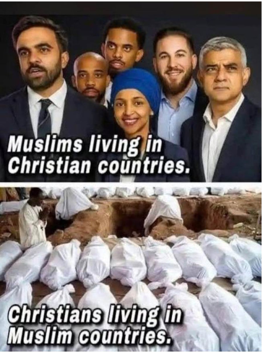 Hammer__Dog's tweet photo. @PolitiBunny https://t.co/SRH64NBTSA