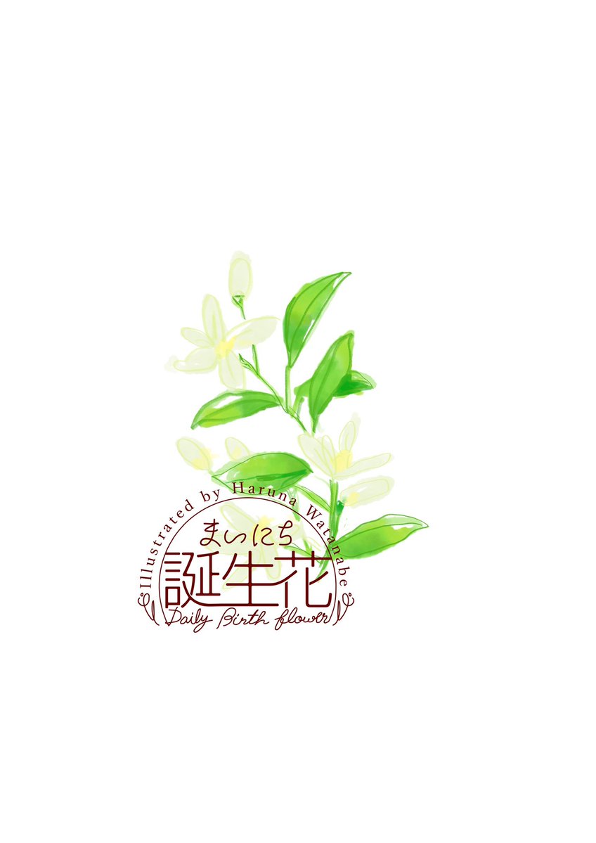「6月8日 ジャスミン 花言葉 優美 #1日1絵 #まいにち誕生花」|渡邊 春菜のイラスト