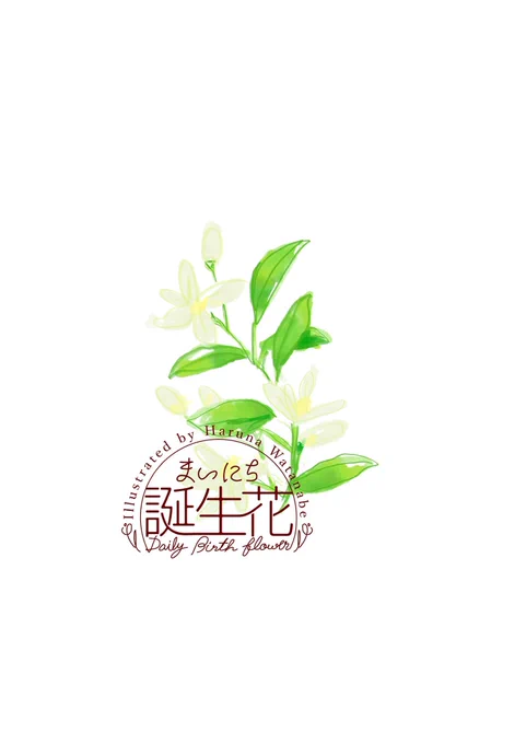 6月8日 ジャスミン 花言葉 優美 #1日1絵 #まいにち誕生花
