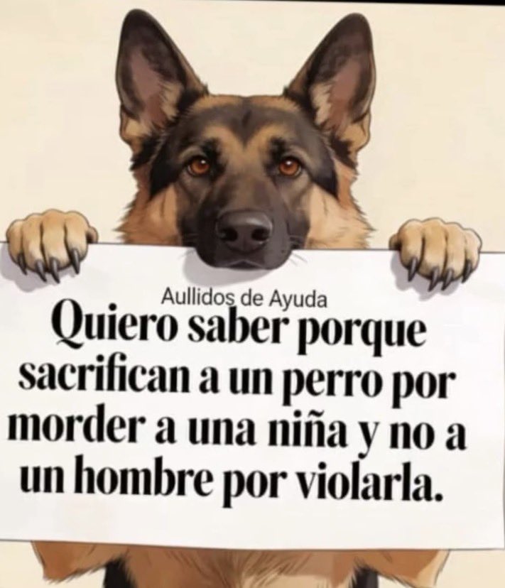 IvanDia23044811's tweet photo. @LetyVarela @GobiernoEdoChih @azelarobinson @lorena_becerra @rbksokol @NoticiasCUU https://t.co/L4RhToJxeu