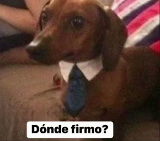 and1patito's tweet photo. Yo tímida, antisocial y sin plata: https://t.co/cgFnQSGmFC