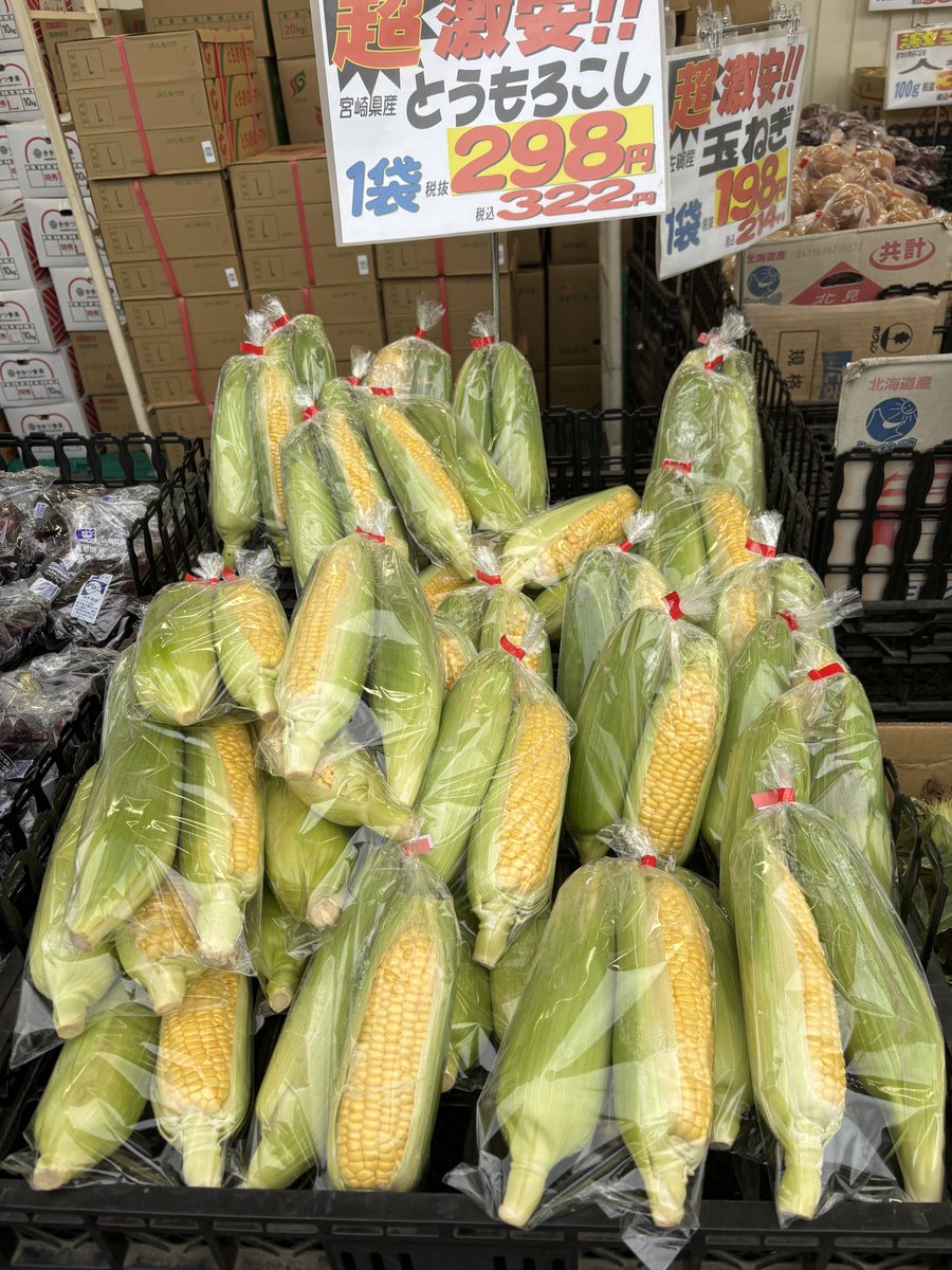 23Wards's tweet photo. 卒酒3460日

とうもろこし🌽発見
段々夏に近づいていますねー♪
夏の飲み物は麦茶か炭酸水ぃ〜
#とうもろこし https://t.co/MczCHnMq6K
