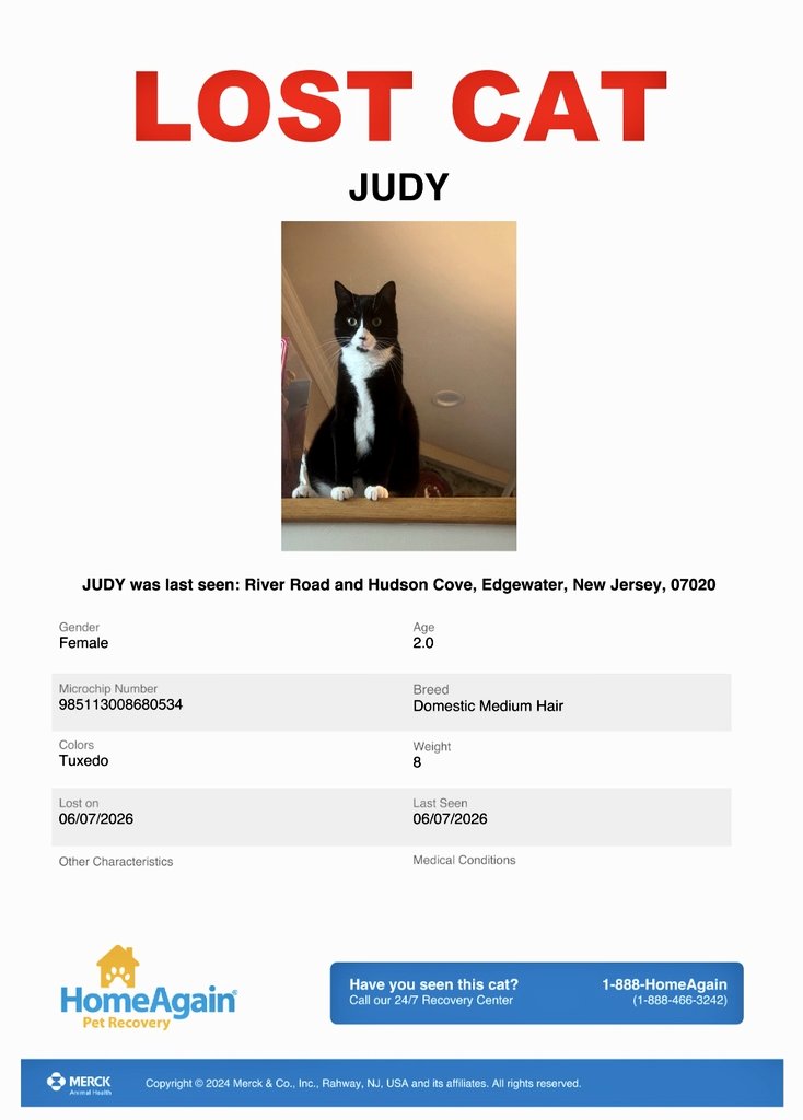 MeowMiya88's tweet photo. 📢🇺🇸🗽🆘️⏳️🚨💔😿Please RT to find Judy #NewJersey #NJ #missingcat #lostcat #Edgewater #CatsOfTwitter #CatsOfX @HAPetRescuer https://t.co/YD7V44np0h