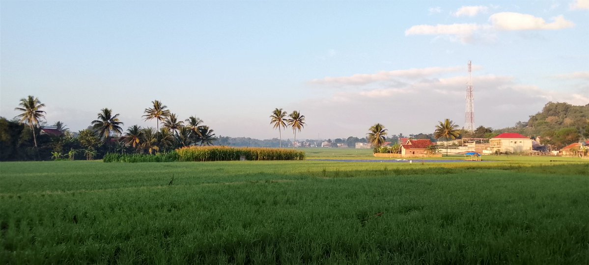 BlueSeaFeel's tweet photo. Pagiiii
Ko disini udah dingin aja sih https://t.co/mor392Cz1f