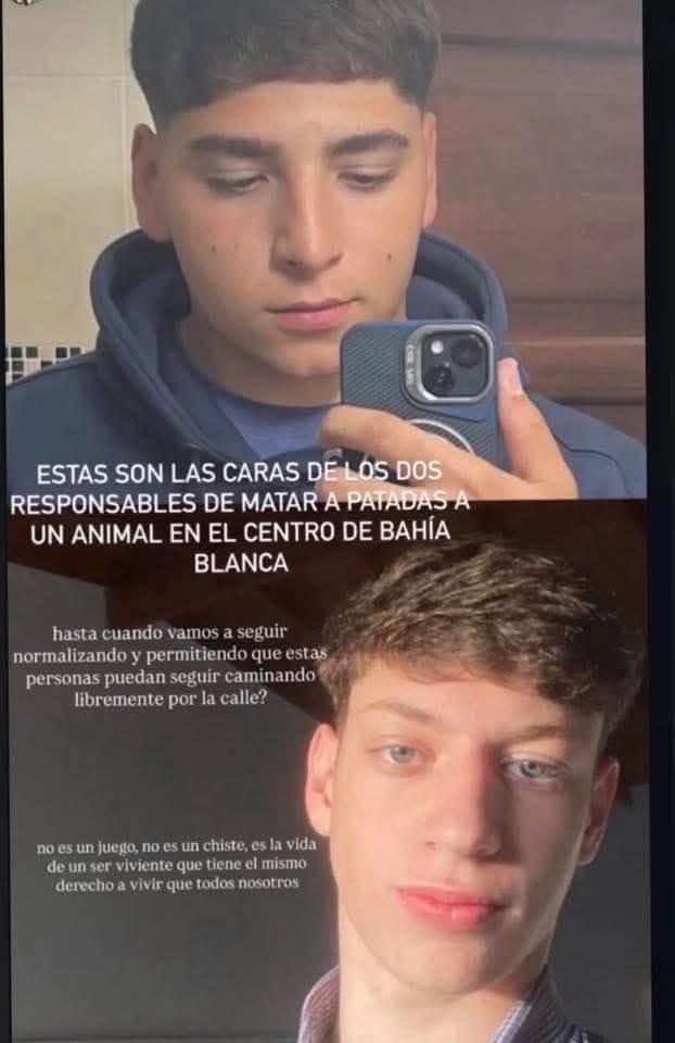Sami25280250's tweet photo. Los violentos de siempre
Golpeador ...pregunto..que le habrá echo este roedor?🤔
Paso en Bahía Blanca https://t.co/zmBO35Lk4s
