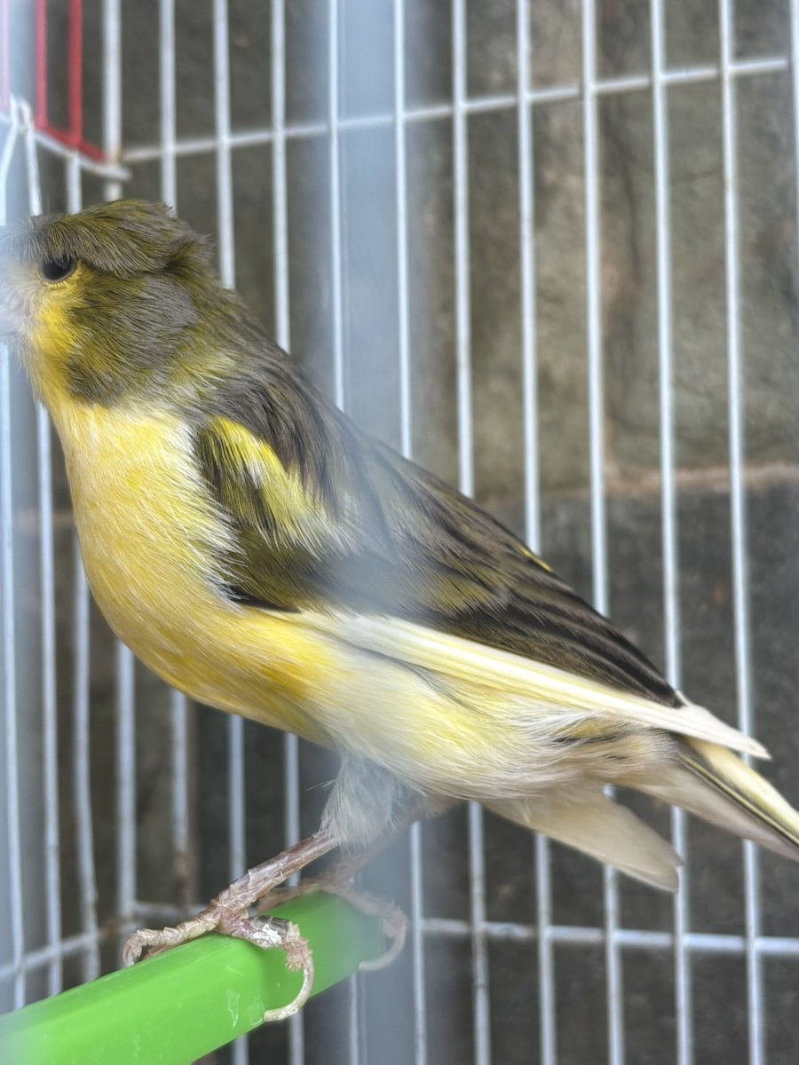 sta0rsn's tweet photo. https://t.co/JhgrGv2Xxl