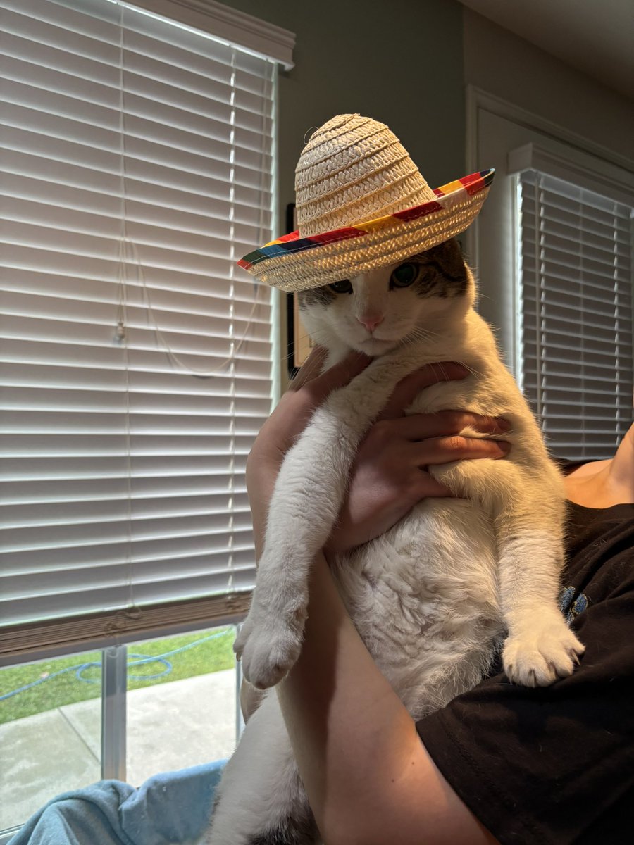 gooseydotgov's tweet photo. my new hat 👒 momb sayz im handsum 🥰 https://t.co/NQtaDqrfG6