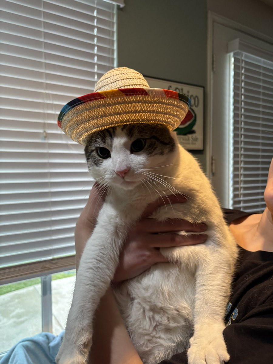 gooseydotgov's tweet photo. my new hat 👒 momb sayz im handsum 🥰 https://t.co/NQtaDqrfG6