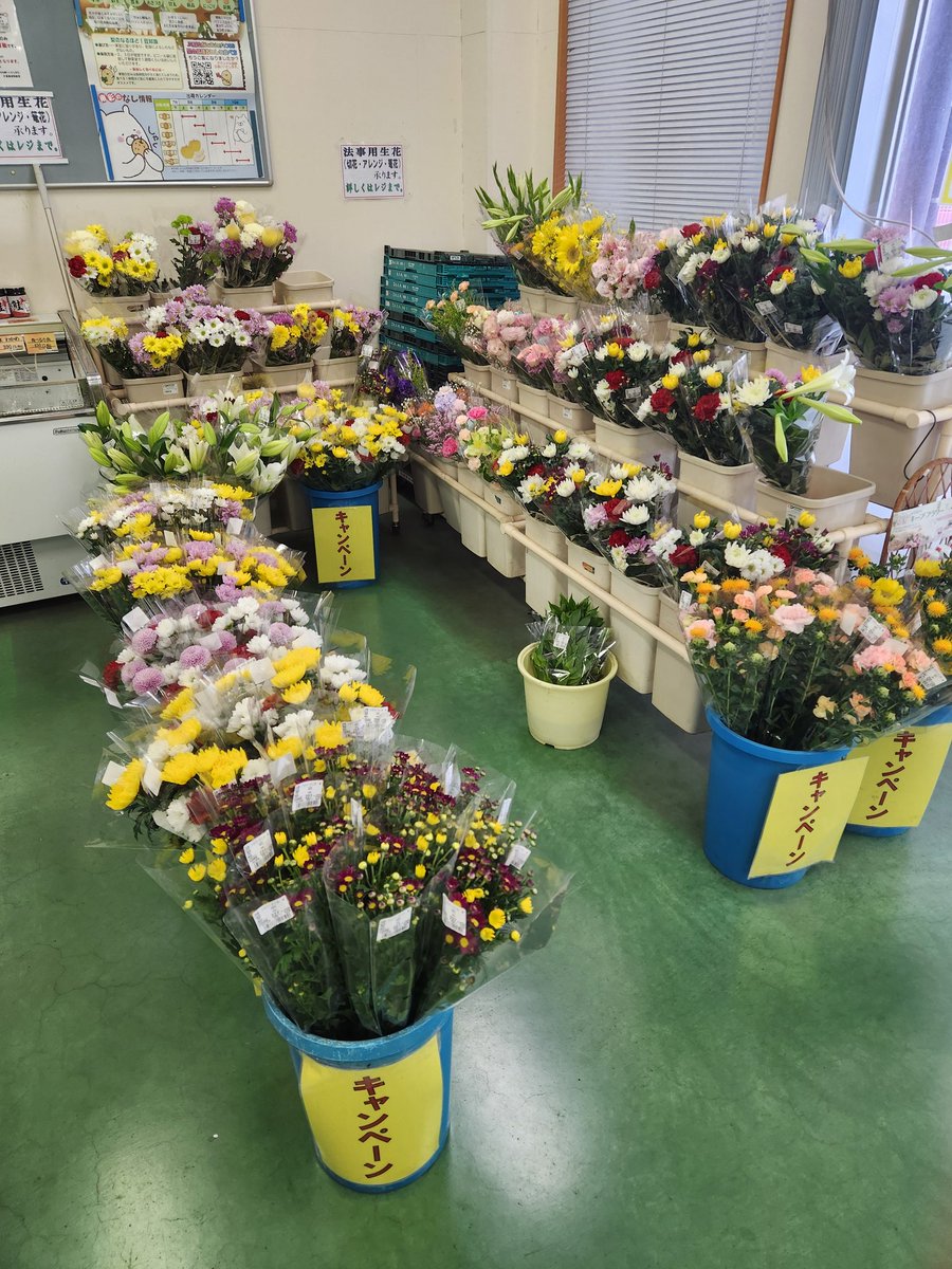 janan_kc's tweet photo. ＼ダブルでお得！／

毎月恒例８日は切り花がお買い得！
さらに米もお買い得と今日は見逃せませんね！

雨も止む予報ですので、ぜひご来店をお待ちしております！ https://t.co/qjeNzD8oGk